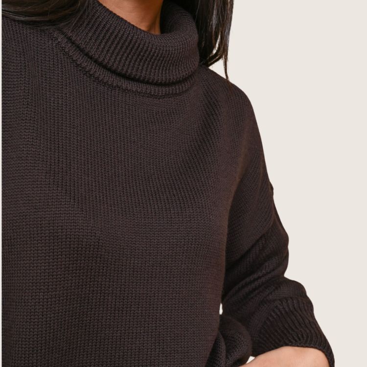 Merino Fine Knit Sweater in bruin