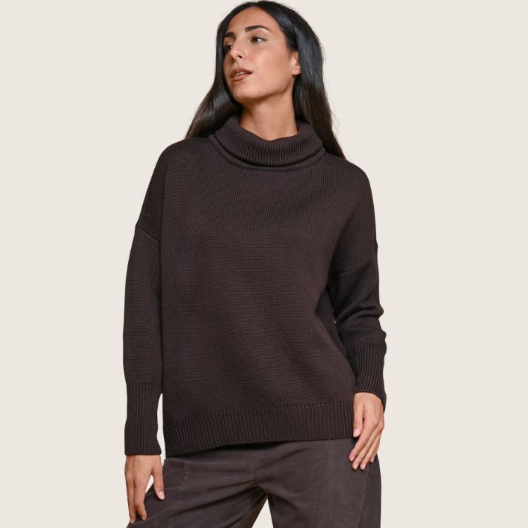 Merino Fine Knit Sweater in bruin