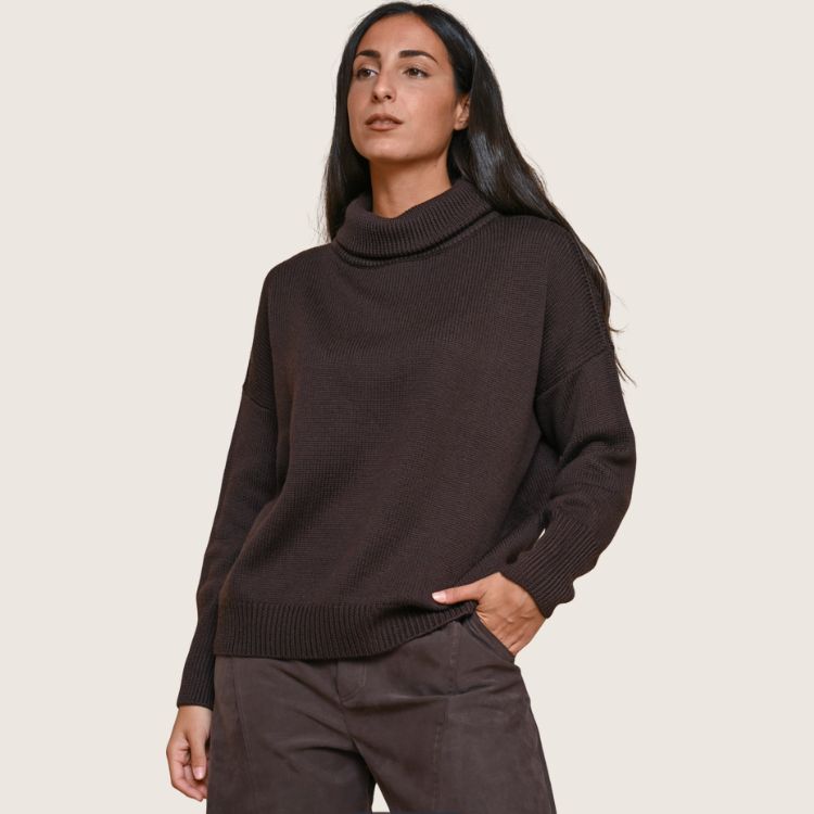 Merino Fine Knit Sweater in bruin